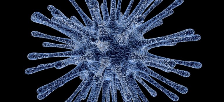 Resveratrolo e coronavirus Mers-CoV2