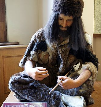 Tutto sulla Carnitina e la calvizie-il genoma mitocondriale: Prima parte