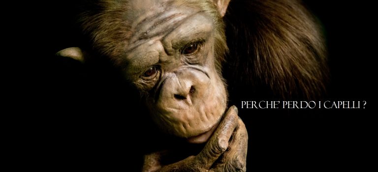 I sei Pilastri per combattere la calvizie