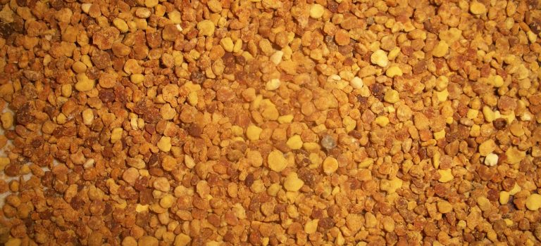 Il polline è una fonte preziosa di aminoacidi essenziali e flavonoidi utili per la salute dei capelli