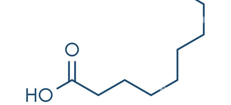 Serenoa Repens, scheda tecnica
